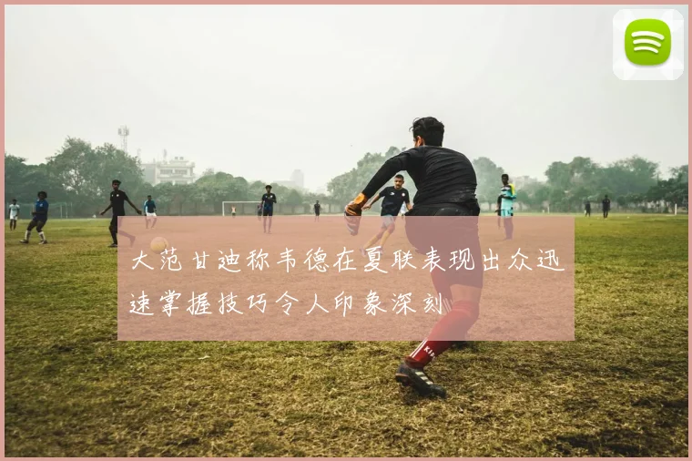 大范甘迪称韦德在夏联表现出众迅速掌握技巧令人印象深刻
