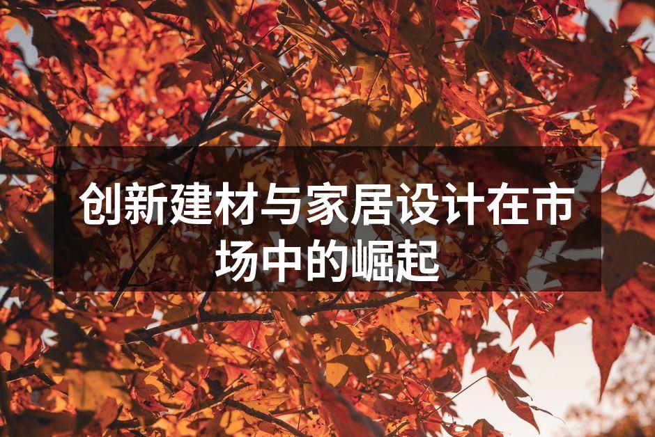 创新建材与家居设计在市场中的崛起