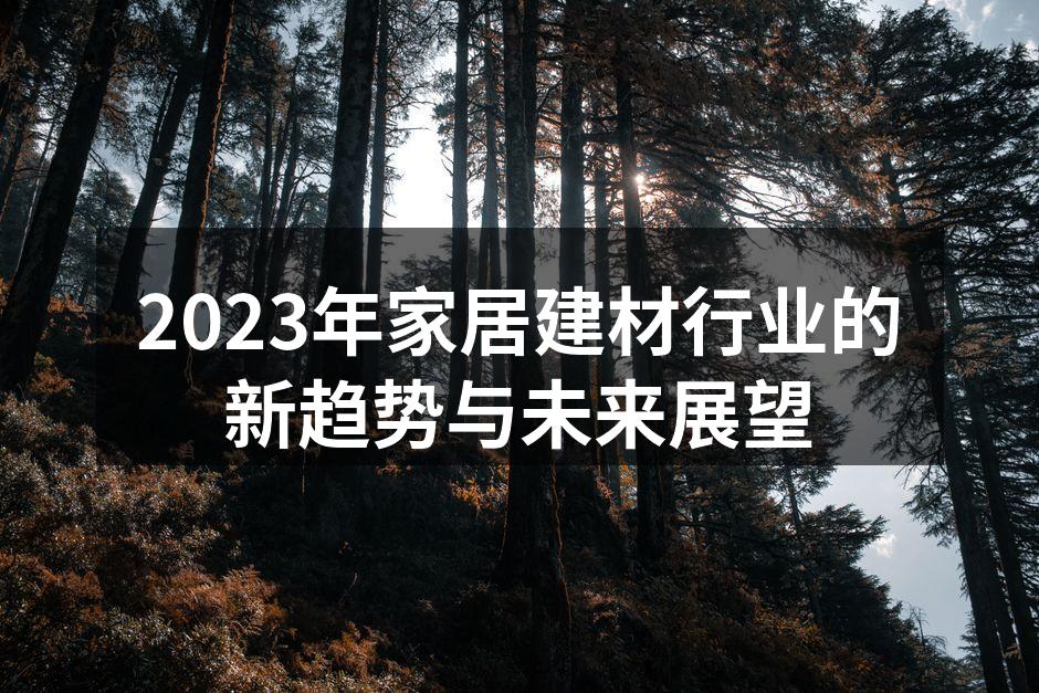 2023年家居建材行业的新趋势与未来展望